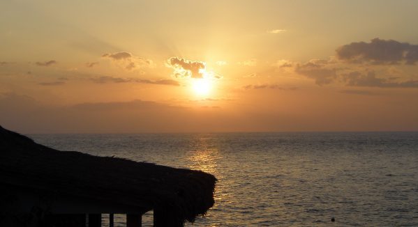 olympus-digital-camera-3